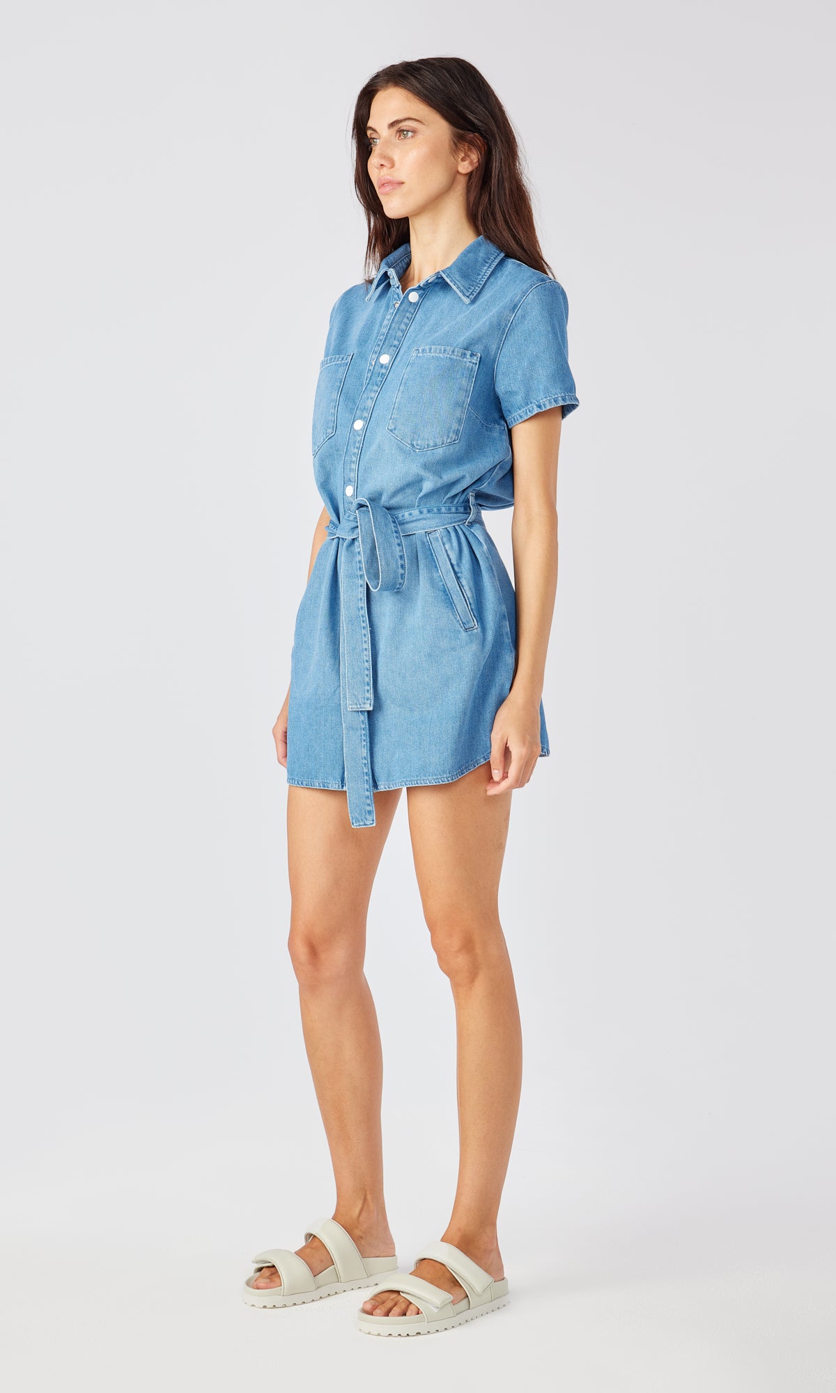 Ms. Blake Short Sleeve Denim Dress