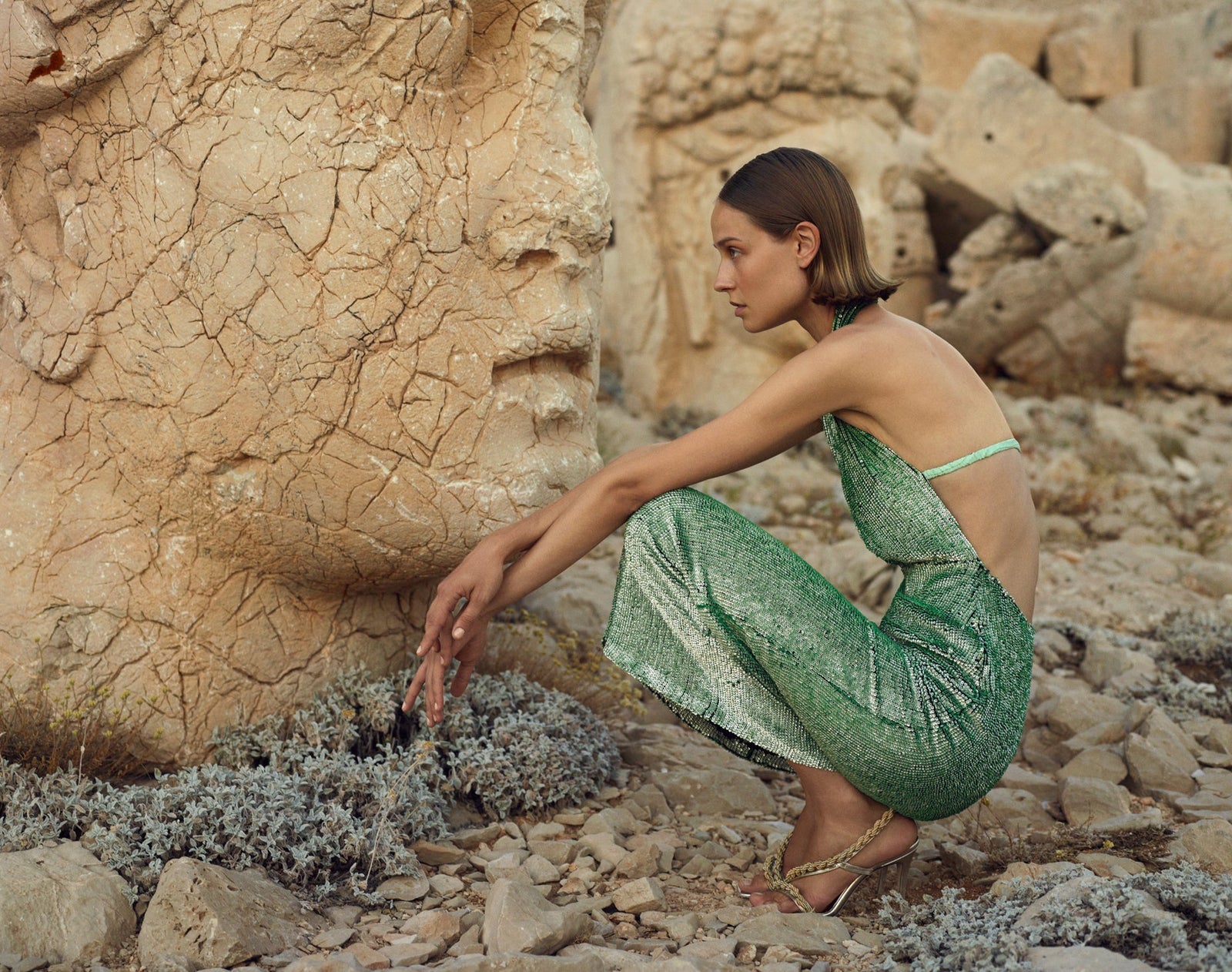 Ring Midi Sequin Dress