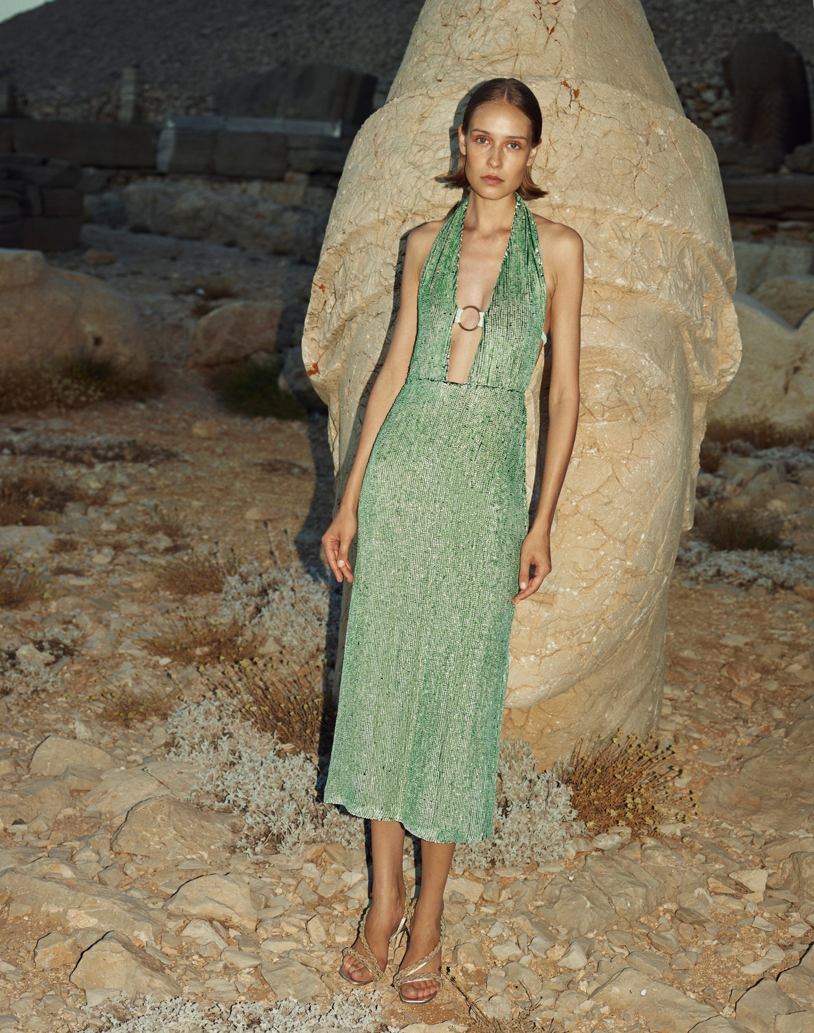 Ring Midi Sequin Dress