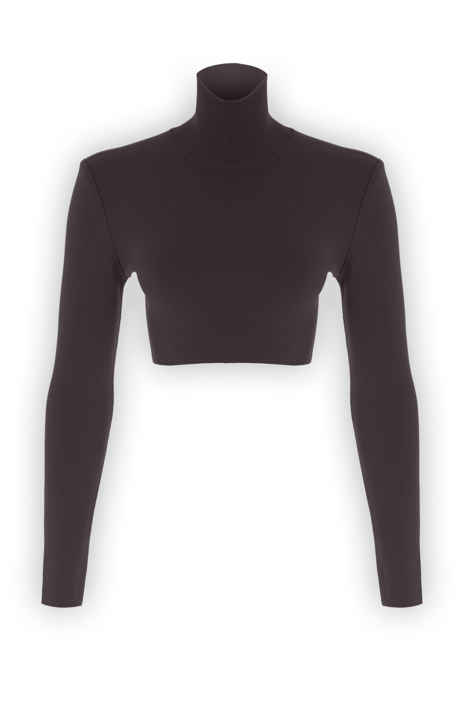 Turtleneck Knit CropTop