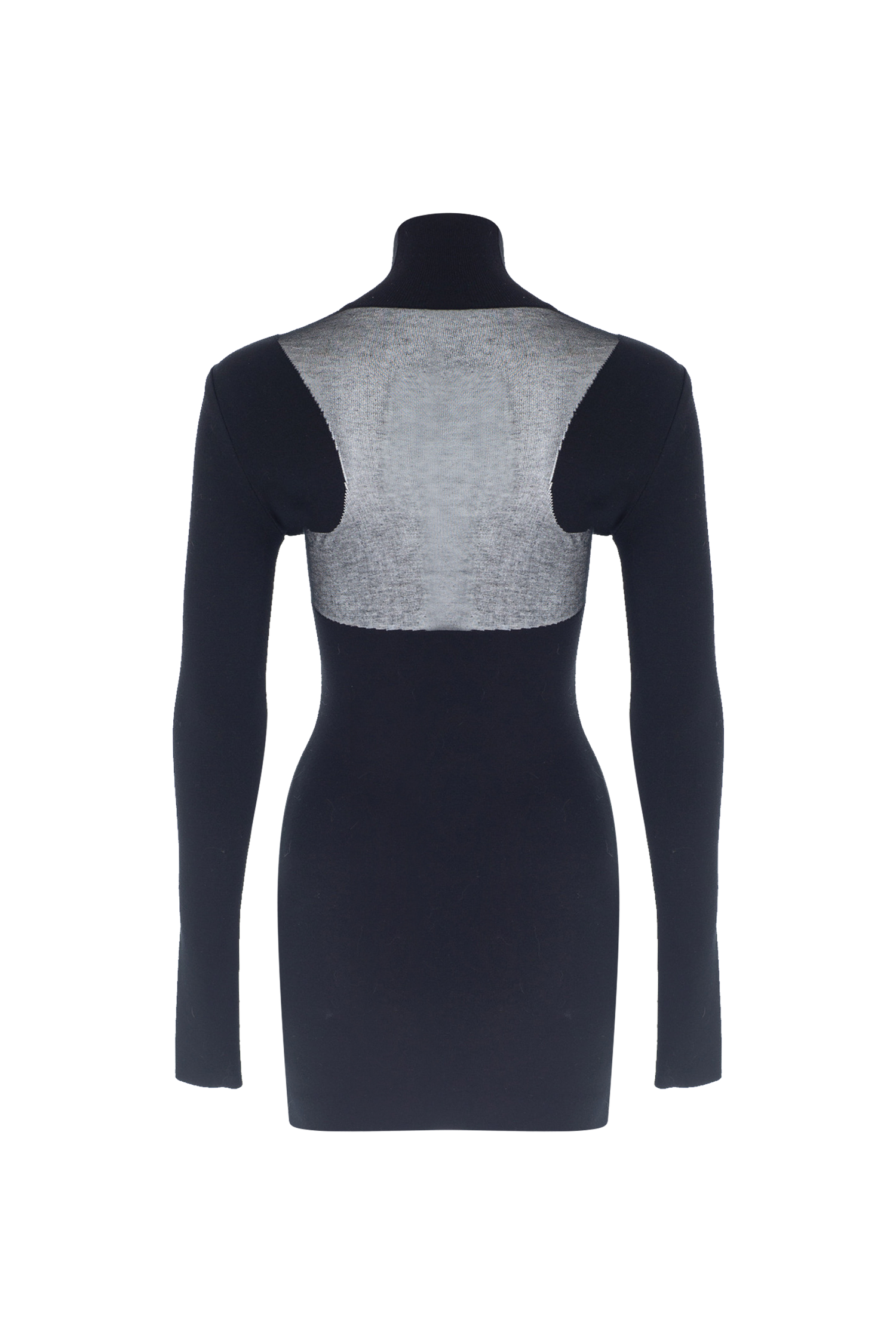 Sheer Knit Mini Dress
