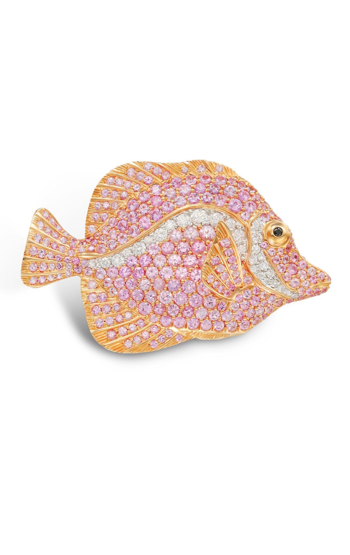 Angelfish Brooch