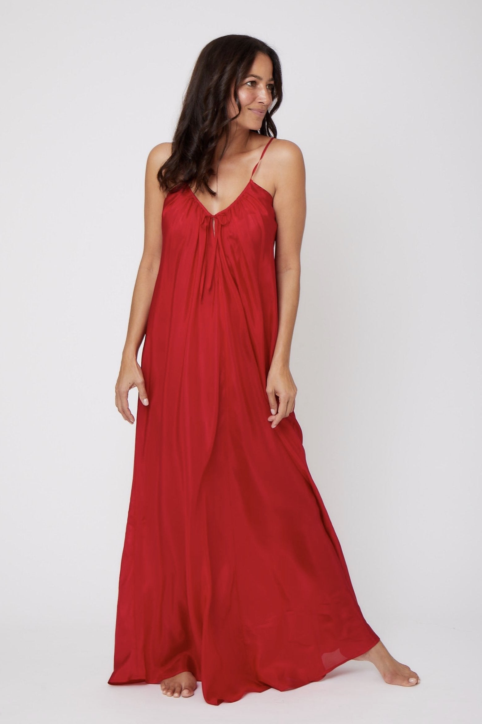 Silk Paris Dress