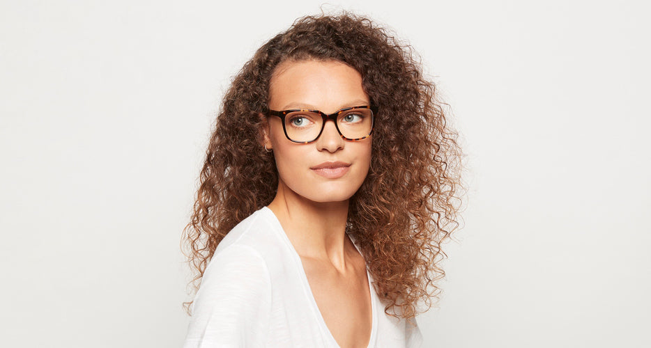 Carter Maple Tortoise